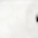 Igea Astro Cento – білий супер кідмохер 40% з мериносом 60%, італійська пряжа для в’язання купити в магазині пряжі Київ, Хорива 1А 2 пов