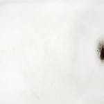 Igea Astro Cento – білий супер кідмохер 40% з мериносом 60%, італійська пряжа для в’язання купити в магазині пряжі Київ, Хорива 1А 2 пов