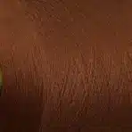 Пряжа меринос Loro Piana Wish 54267 terracotta коньяк купити Київ, Хорива 1 А