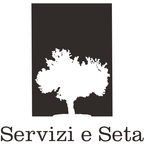 Пряжа Servizi e Seta купити в Україні